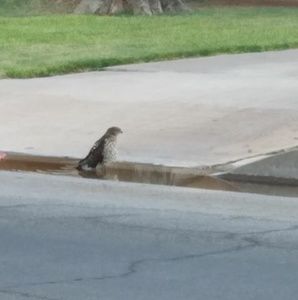 Meet your Posher, Jack